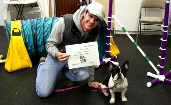 Dog agility outlet equipment petsmart