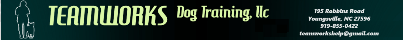 Teamworks Dog Training llc